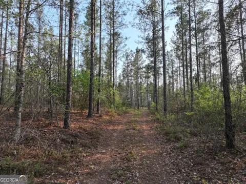195 County Line RD