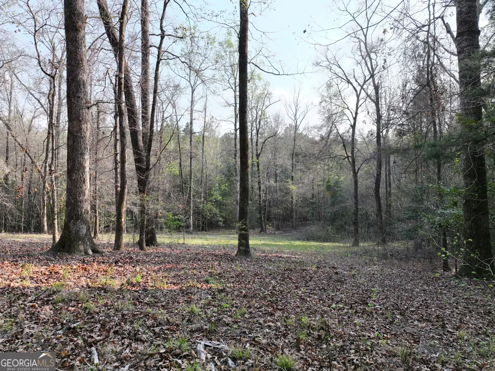 195 County Line RD Lumpkin, GA 31815