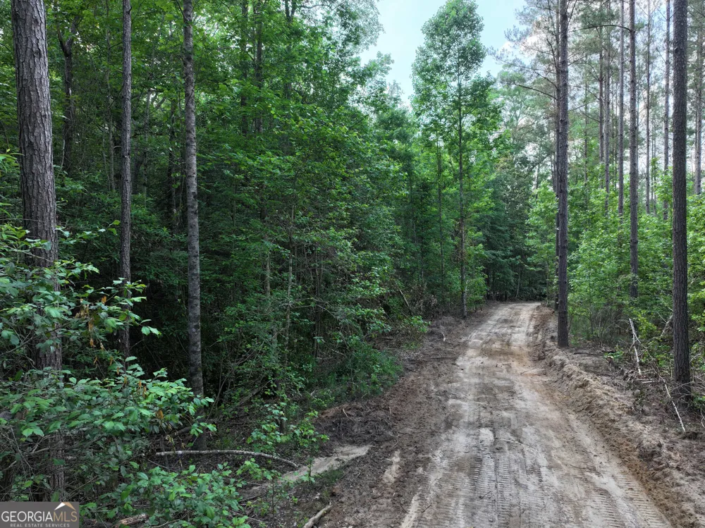 195 County Line RD Lumpkin, GA 31815