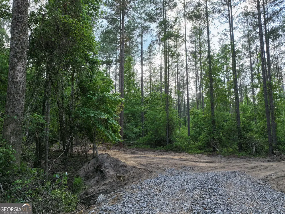 195 County Line RD Lumpkin, GA 31815