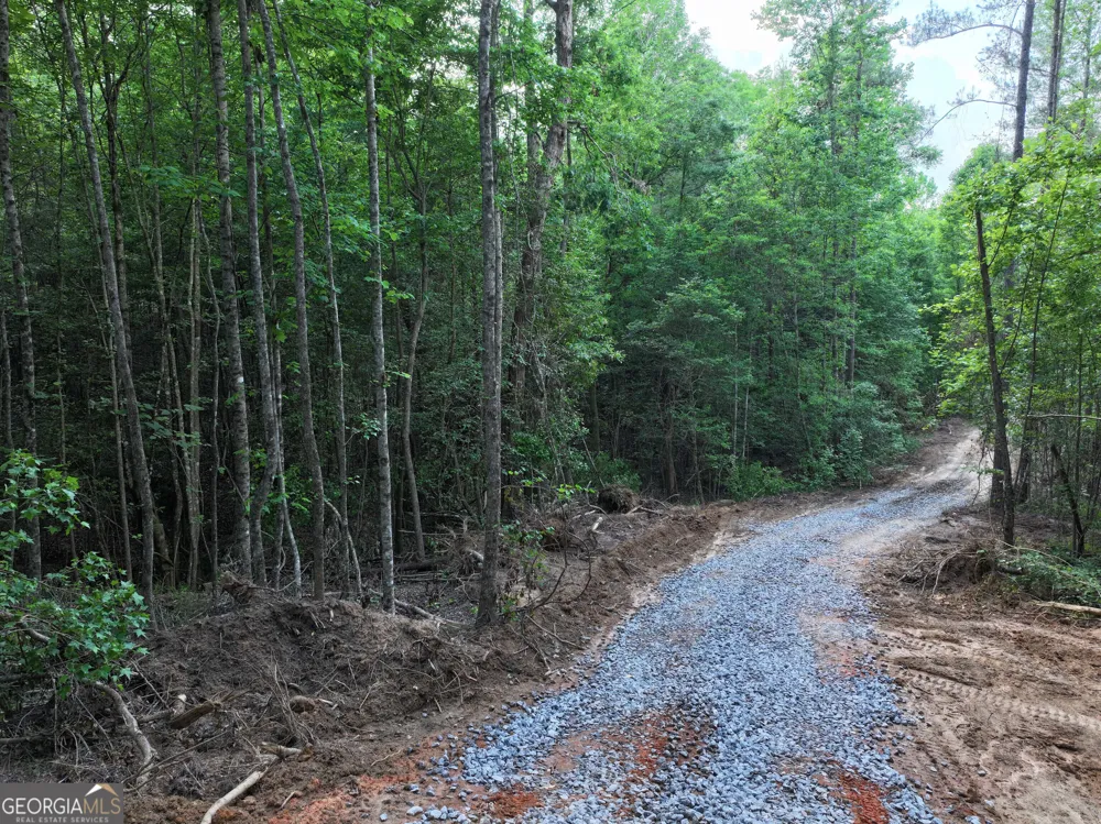 195 County Line RD Lumpkin, GA 31815