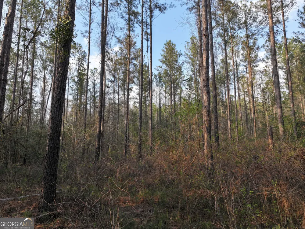 195 County Line RD Lumpkin, GA 31815