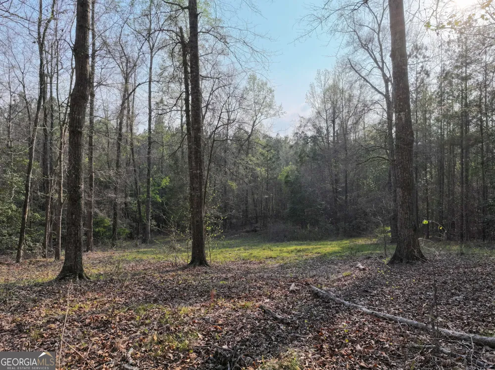 195 County Line RD Lumpkin, GA 31815