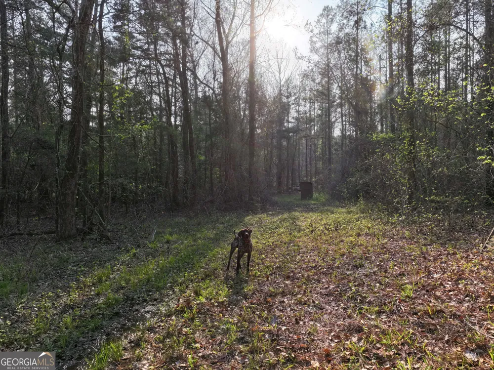 195 County Line RD Lumpkin, GA 31815