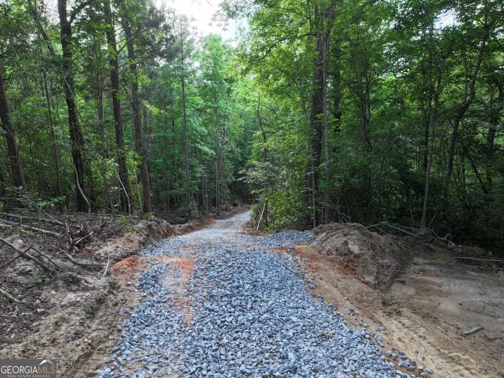 195 County Line RD Lumpkin, GA 31815