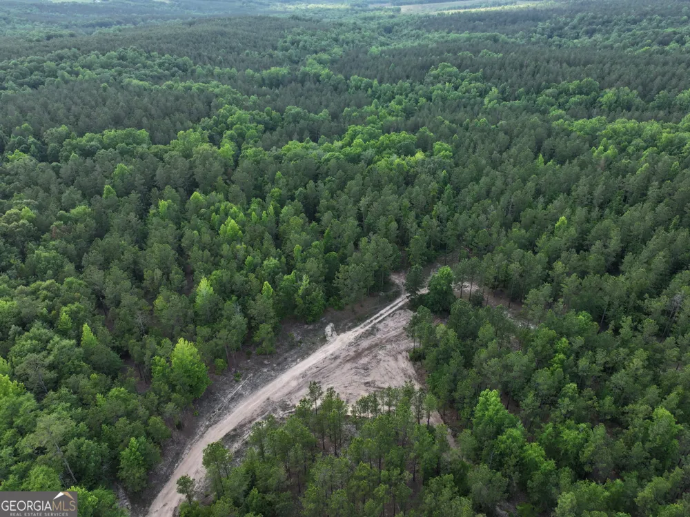 195 County Line RD Lumpkin, GA 31815