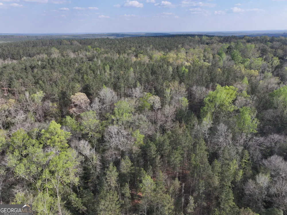 195 County Line RD Lumpkin, GA 31815