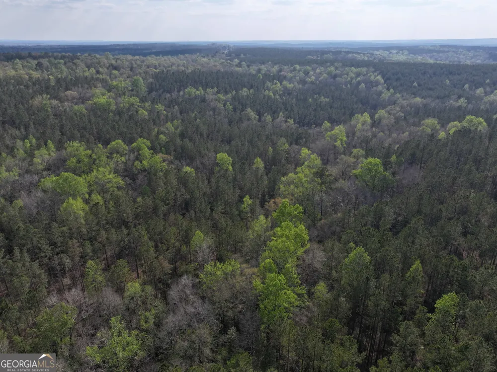 195 County Line RD Lumpkin, GA 31815