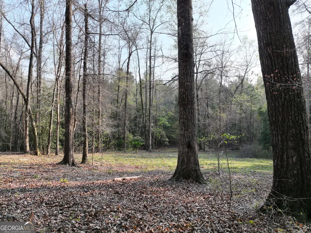 195 County Line RD Lumpkin, GA 31815