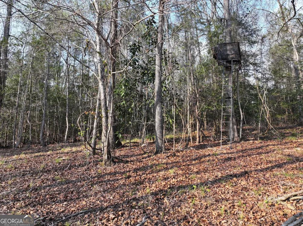 195 County Line RD Lumpkin, GA 31815