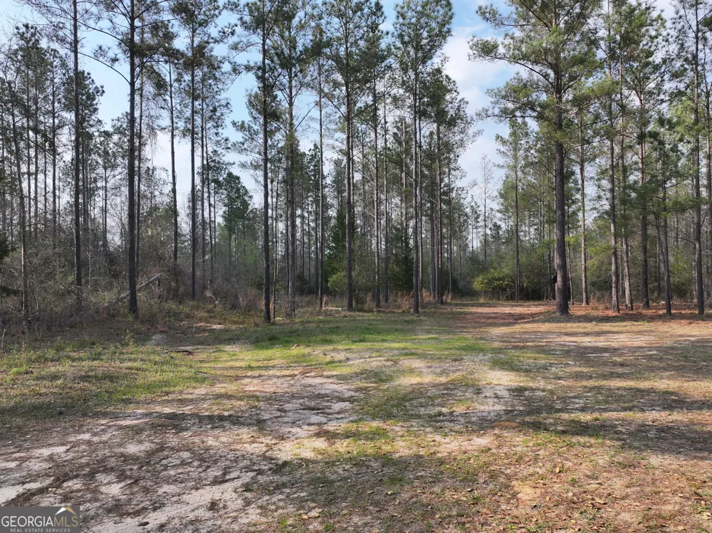 195 County Line RD Lumpkin, GA 31815