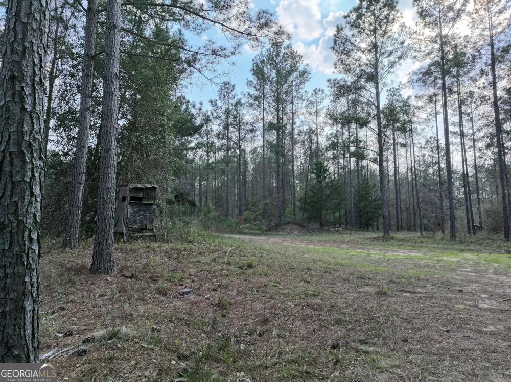 195 County Line RD Lumpkin, GA 31815