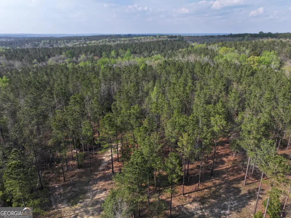 195 County Line RD Lumpkin, GA 31815