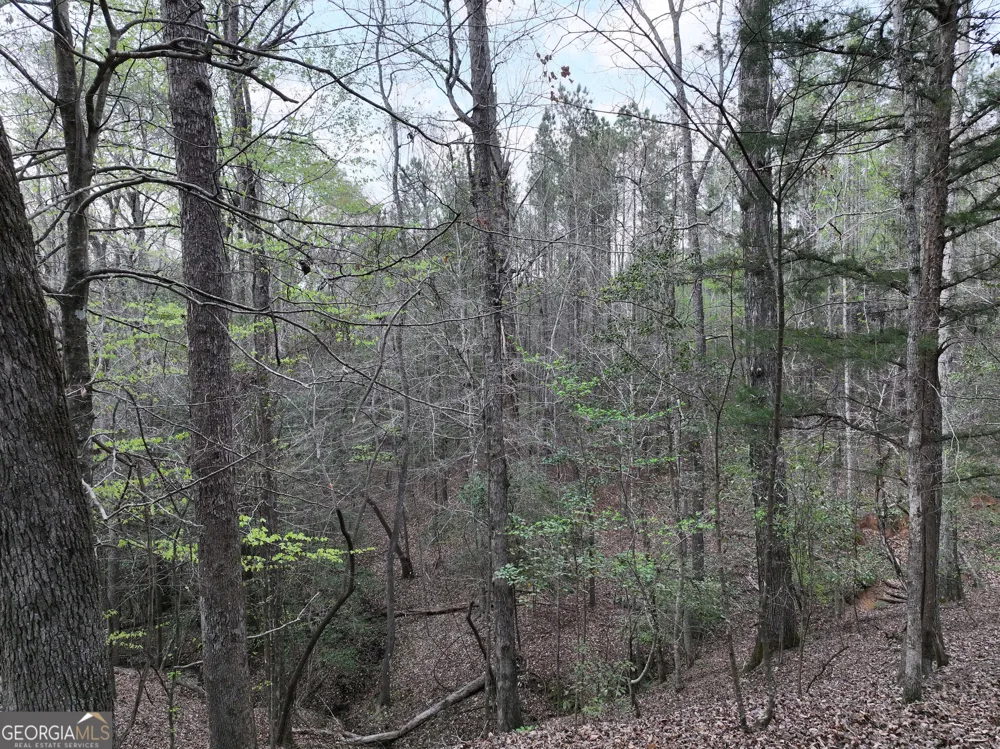 195 County Line RD Lumpkin, GA 31815