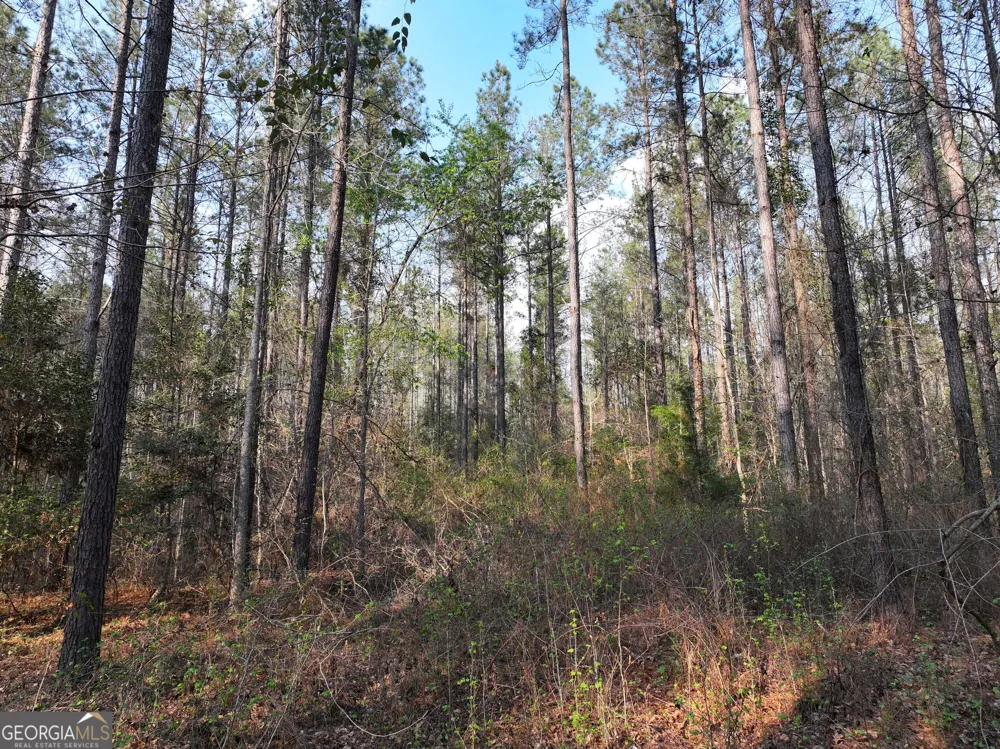 195 County Line RD Lumpkin, GA 31815