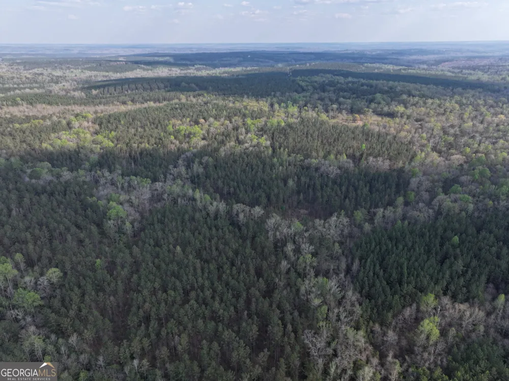 195 County Line RD Lumpkin, GA 31815