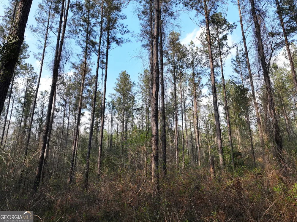 195 County Line RD Lumpkin, GA 31815