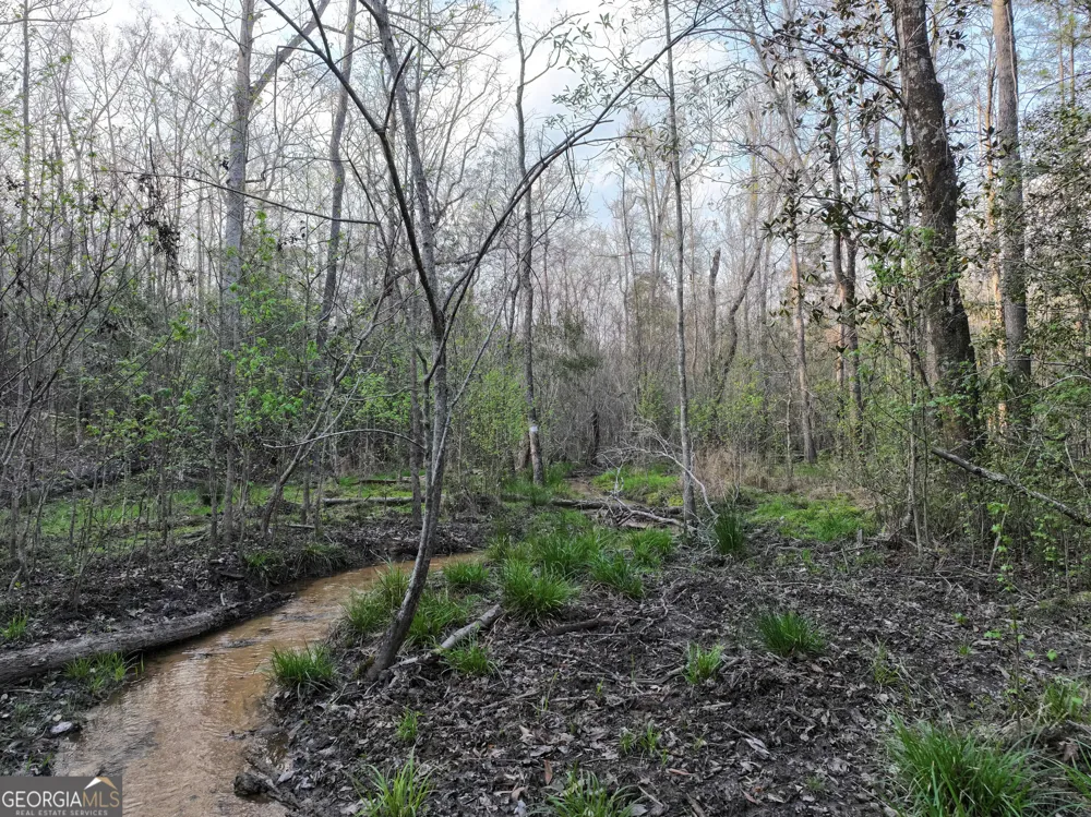 195 County Line RD Lumpkin, GA 31815