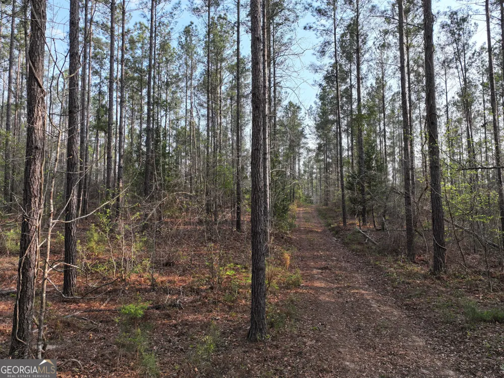 195 County Line RD Lumpkin, GA 31815