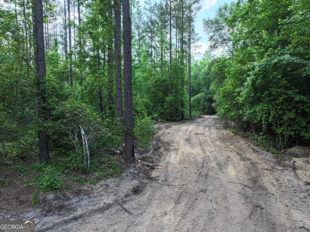 195 County Line RD Lumpkin, GA 31815