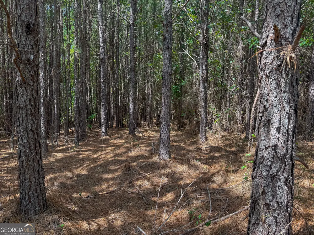 0 River Oak DR Eatonton, GA 31024