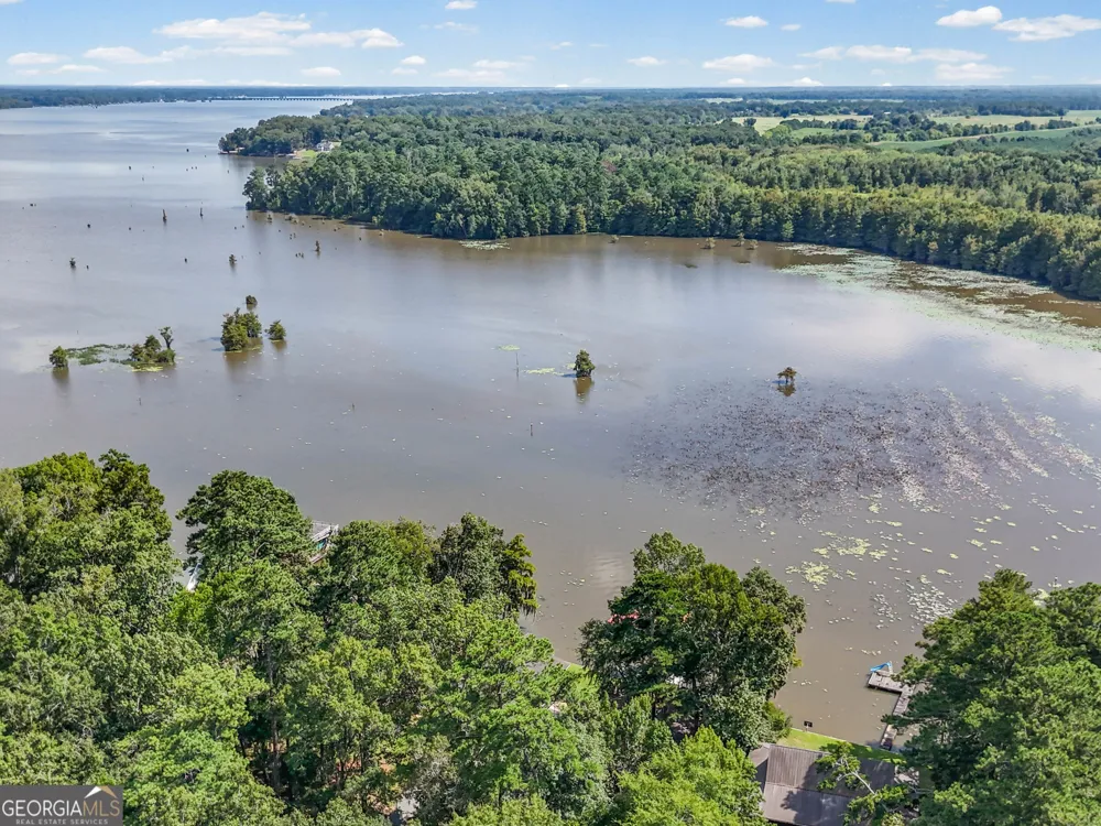 110 Sawdust Trail Cobb, GA 31735