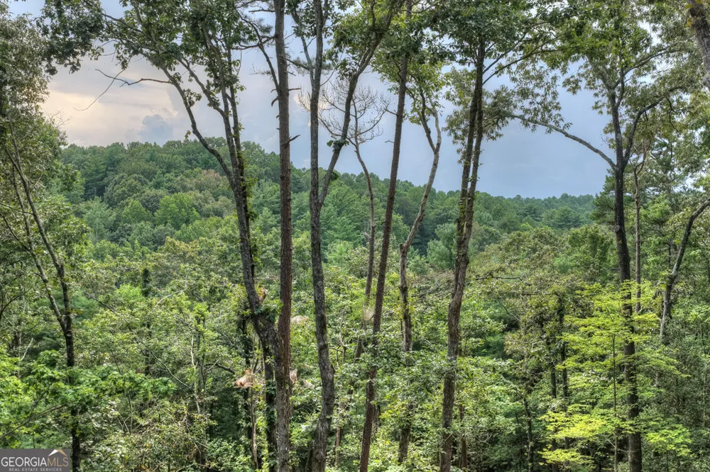 394 Blackberry CIR Ellijay, GA 30536