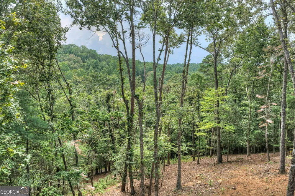 394 Blackberry CIR Ellijay, GA 30536