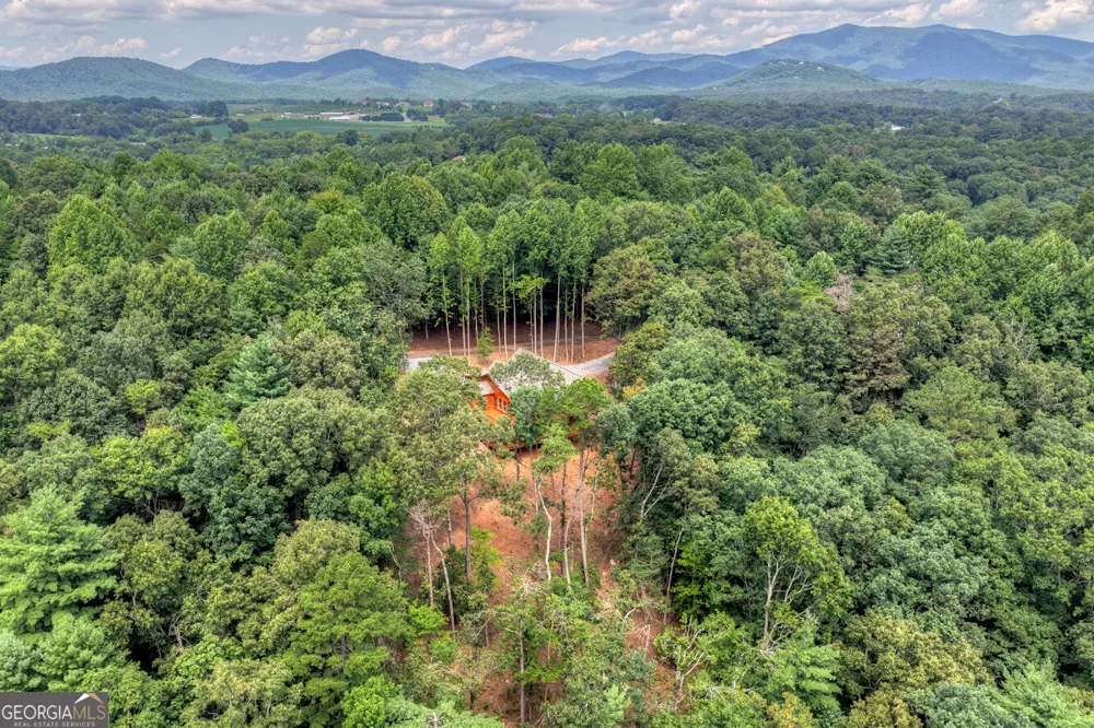 394 Blackberry CIR Ellijay, GA 30536
