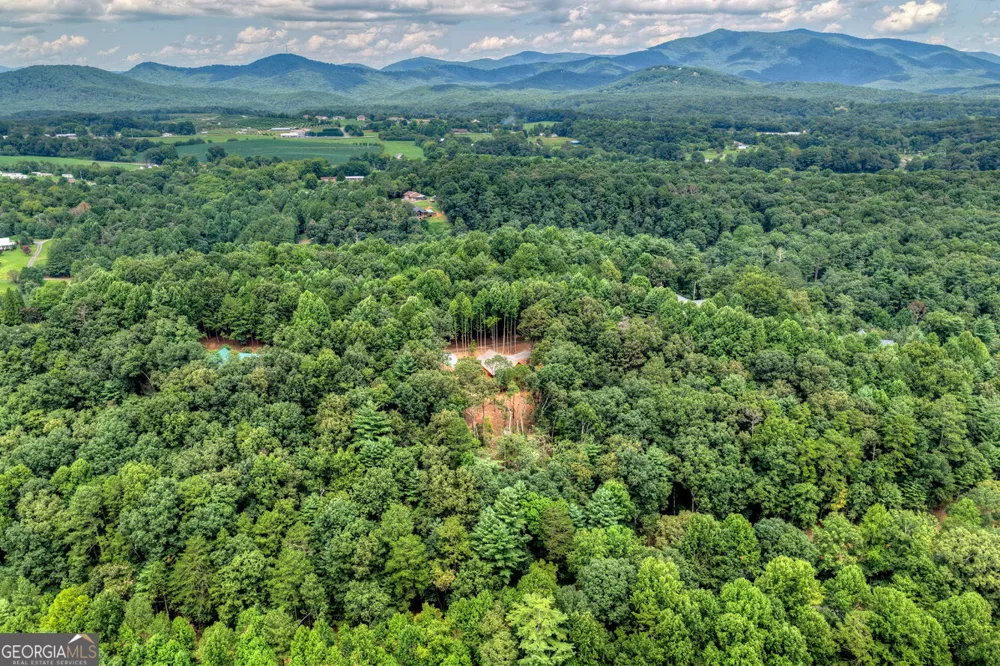 394 Blackberry CIR Ellijay, GA 30536
