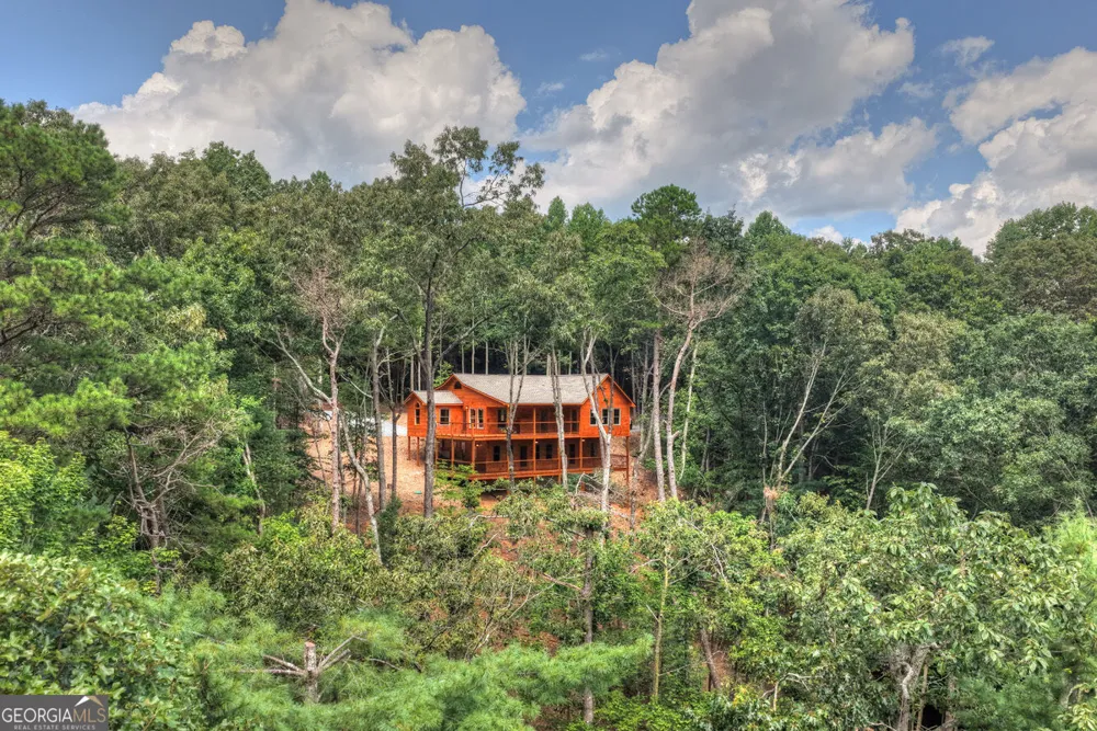 394 Blackberry CIR Ellijay, GA 30536