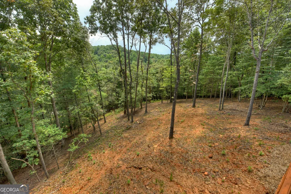 394 Blackberry CIR Ellijay, GA 30536