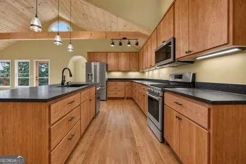394 Blackberry CIR Ellijay, GA 30536