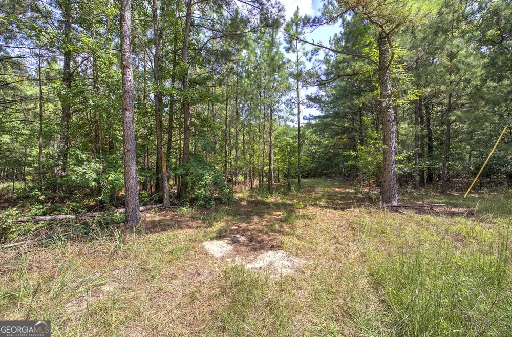 1298 Radio Springs RD SW Rome, GA 30165
