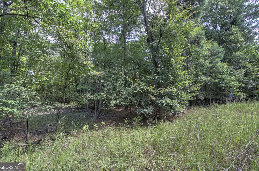 1298 Radio Springs RD SW Rome, GA 30165