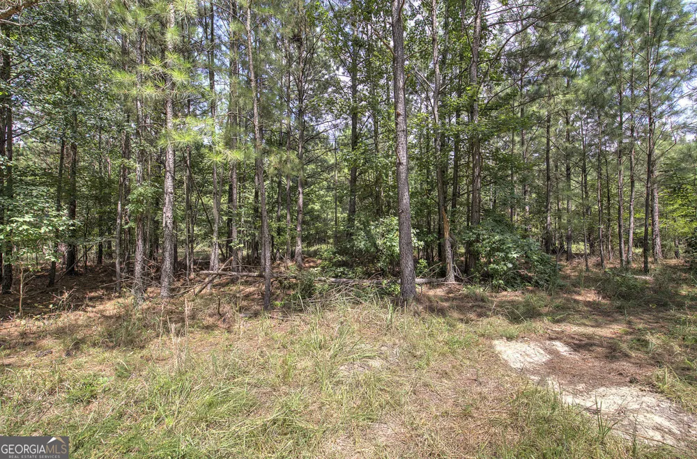 1298 Radio Springs RD SW Rome, GA 30165