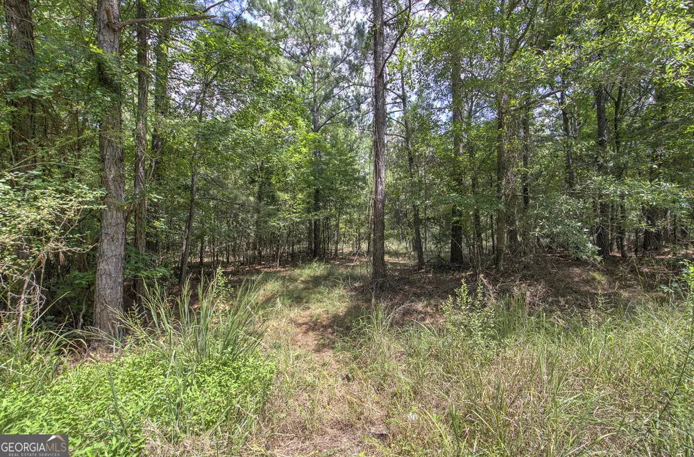 1298 Radio Springs RD SW Rome, GA 30165