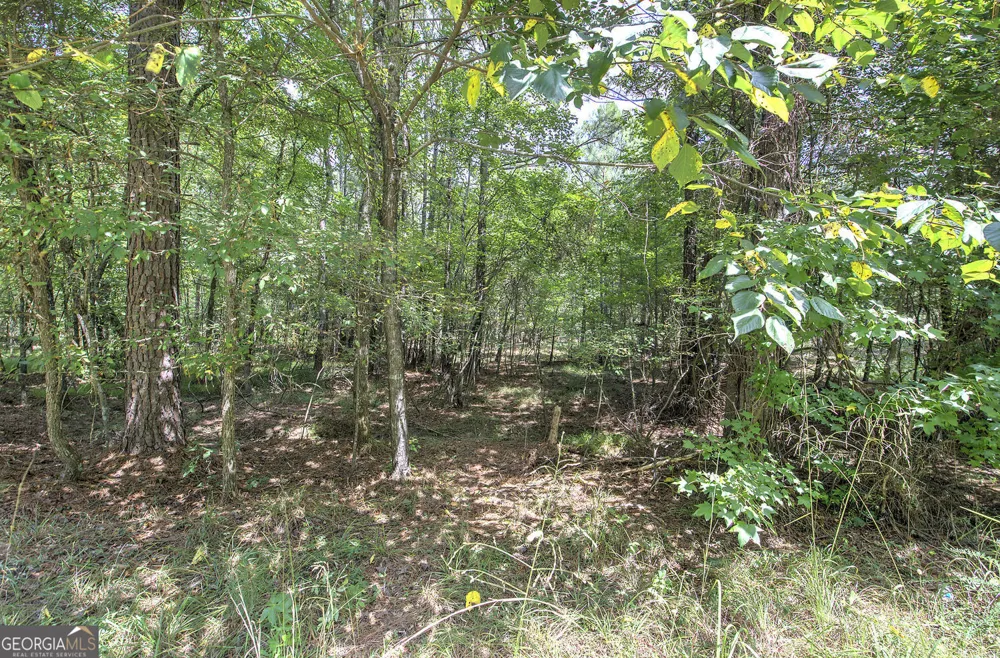 1298 Radio Springs RD SW Rome, GA 30165