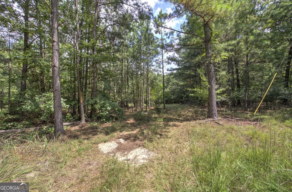 1298 Radio Springs RD SW Rome, GA 30165