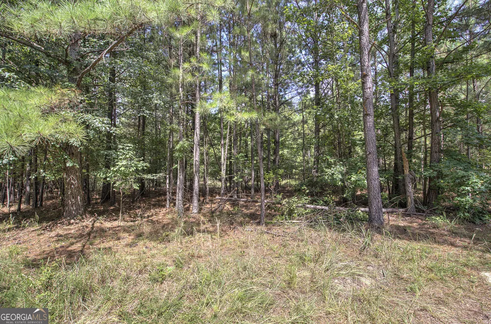 1298 Radio Springs RD SW Rome, GA 30165