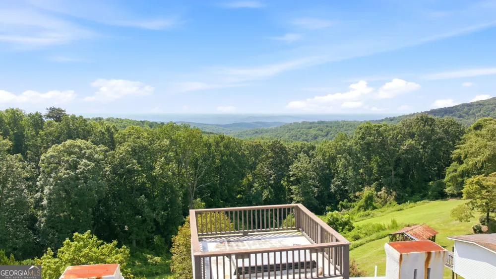 684 Grandview AVE Mount Airy, GA 30563