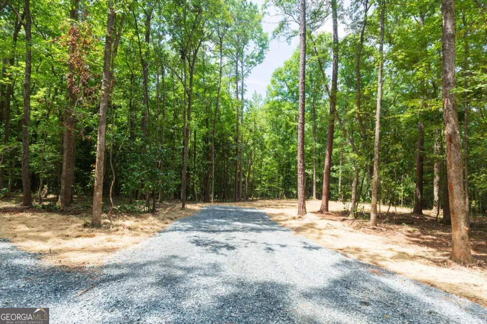 0 Roosevelt HWY Warm Springs, GA 31830