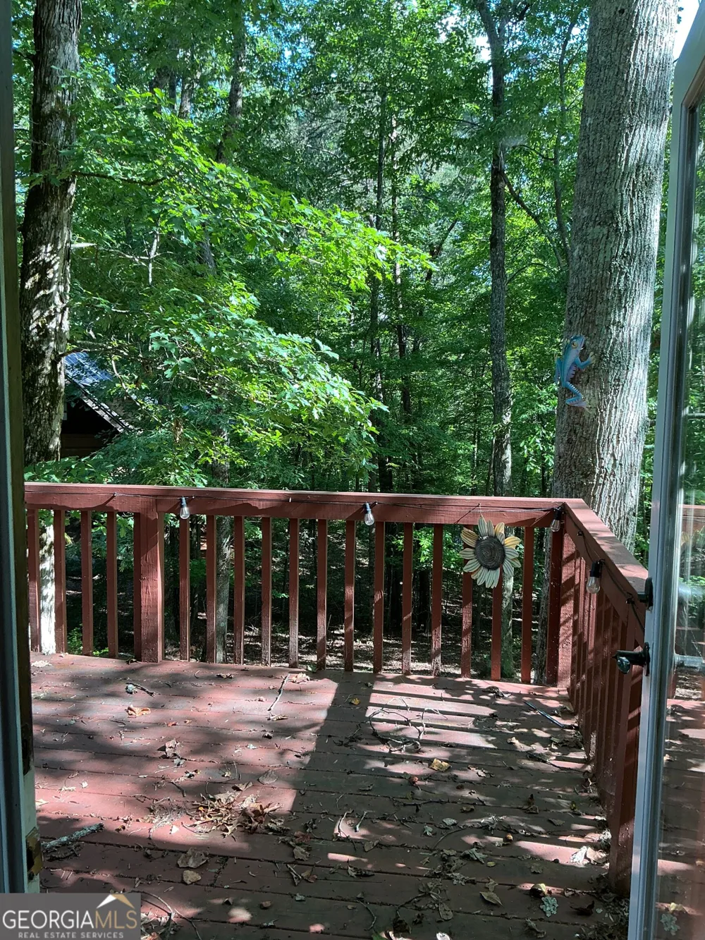 160 Nob Hill RDG Cleveland, GA 30528