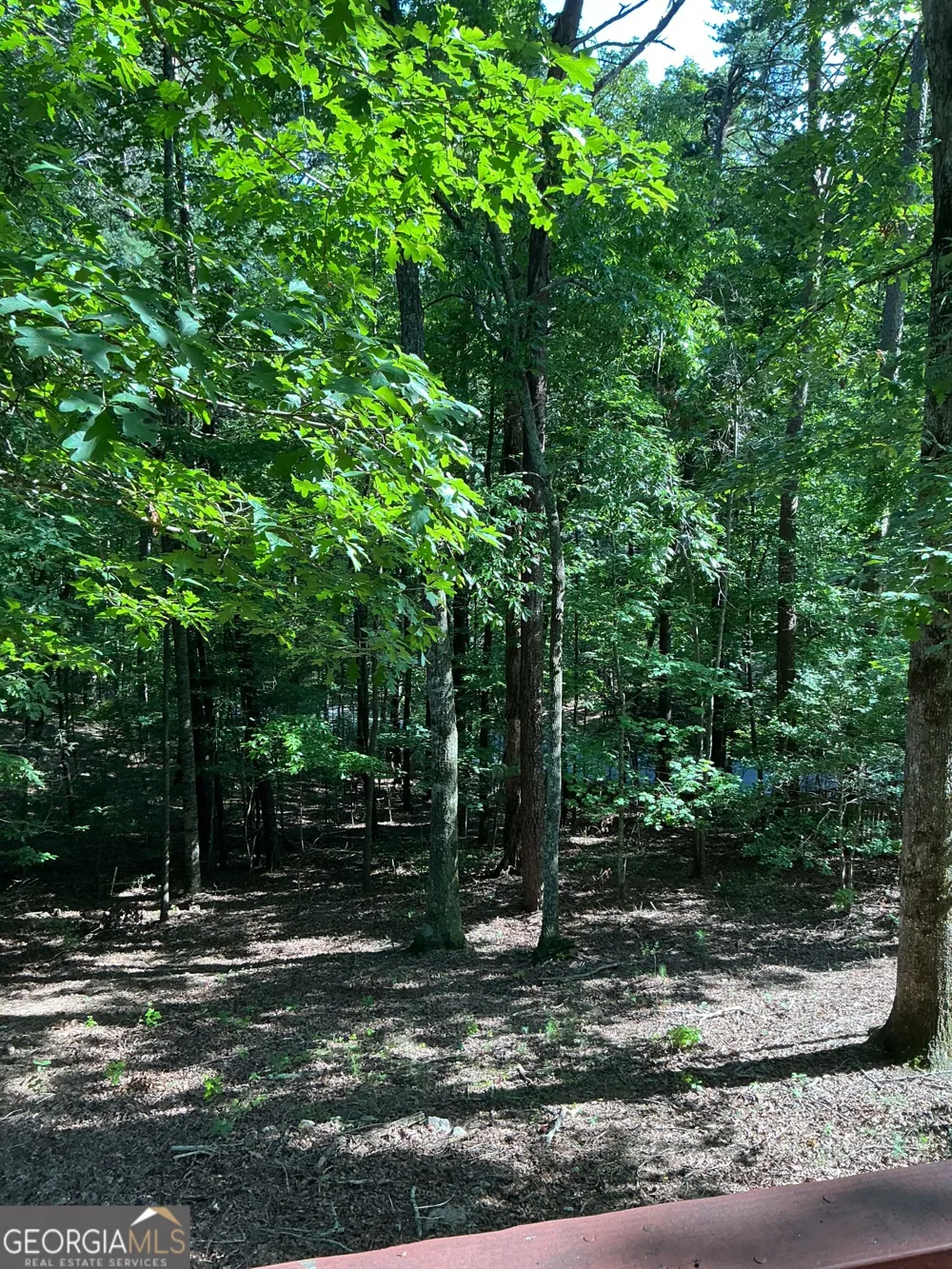 160 Nob Hill RDG Cleveland, GA 30528