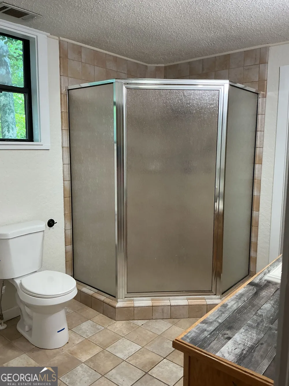 160 Nob Hill RDG Cleveland, GA 30528