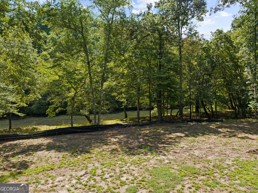 2 Weymans WAY Blue Ridge, GA 30513