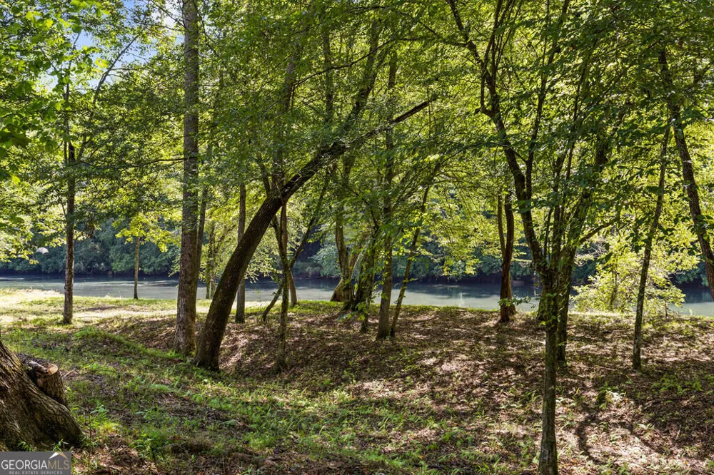 2 Weymans WAY Blue Ridge, GA 30513