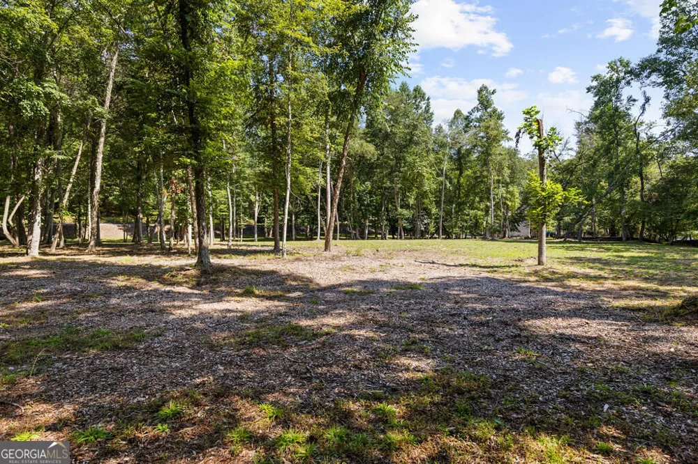 2 Weymans WAY Blue Ridge, GA 30513