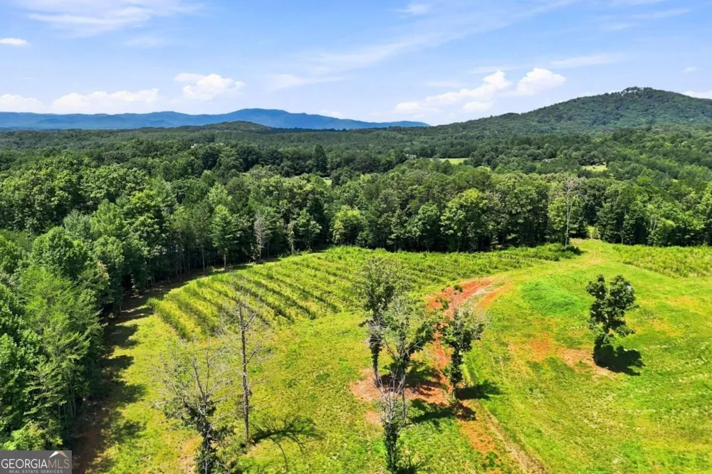 1175 Wolfcreek RD Murphy, NC 28906