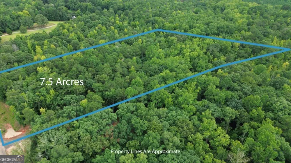 0 Roosevelt HWY - LOT 1 Warm Springs, GA 31830